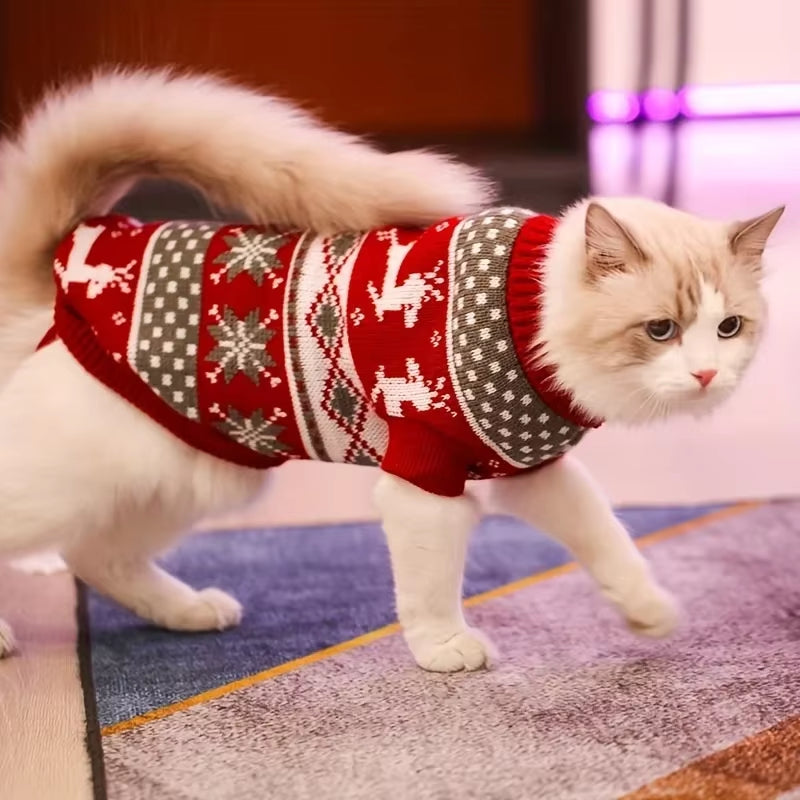Holiday Pet Sweaters – Cozy, Festive Style for Your Furry Little Star